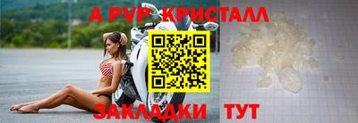 стаф Кулебаки