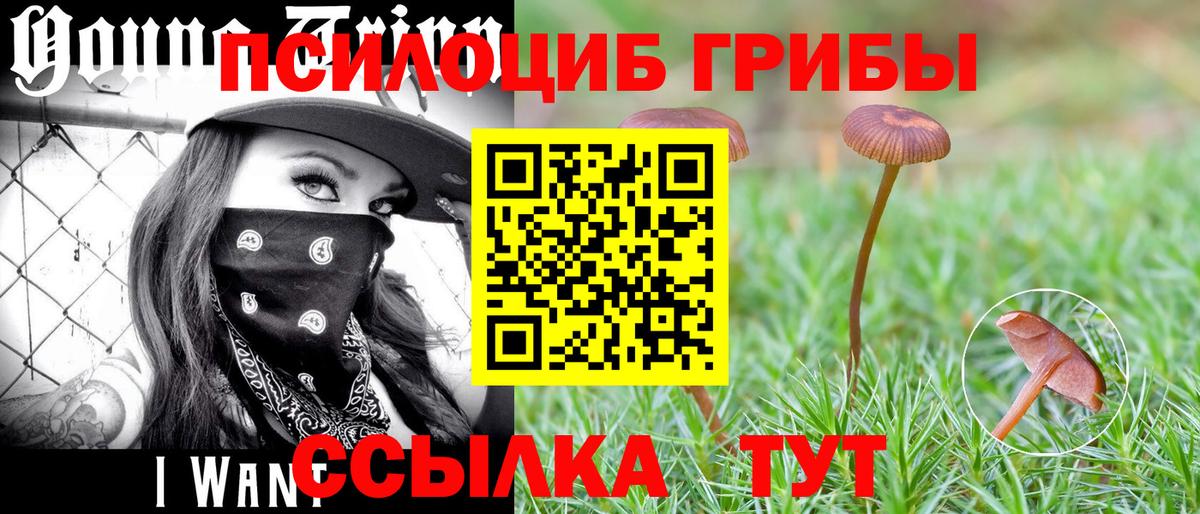 Псилоцибиновые грибы Cubensis  Вход с VPN  Галлюциногенные грибы мухоморы  Балтийск 