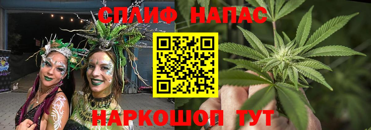МАРИХУАНА сатива  МАРИХУАНА марихуана  Балтийск  Бошки Шишки планчик  Вход с VPN 